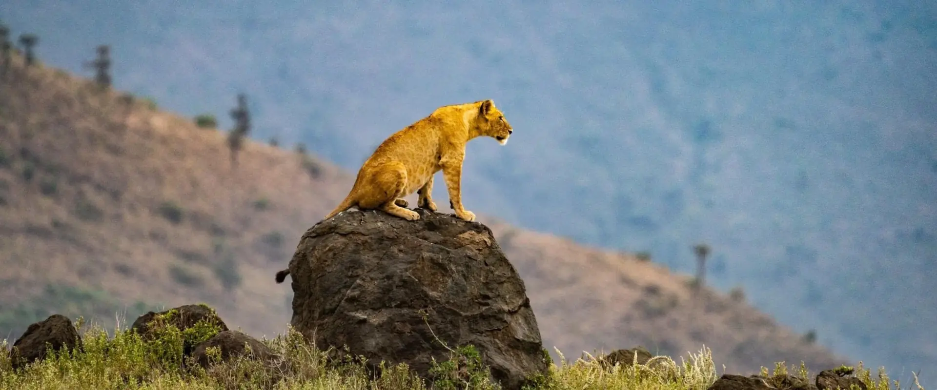 Ngorongoro Crater