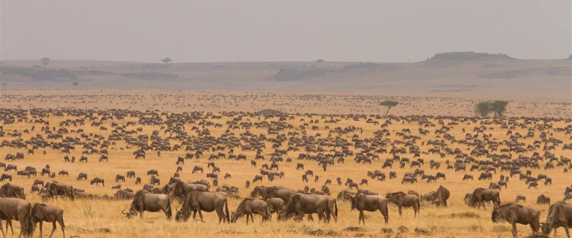 Serengeti National Park