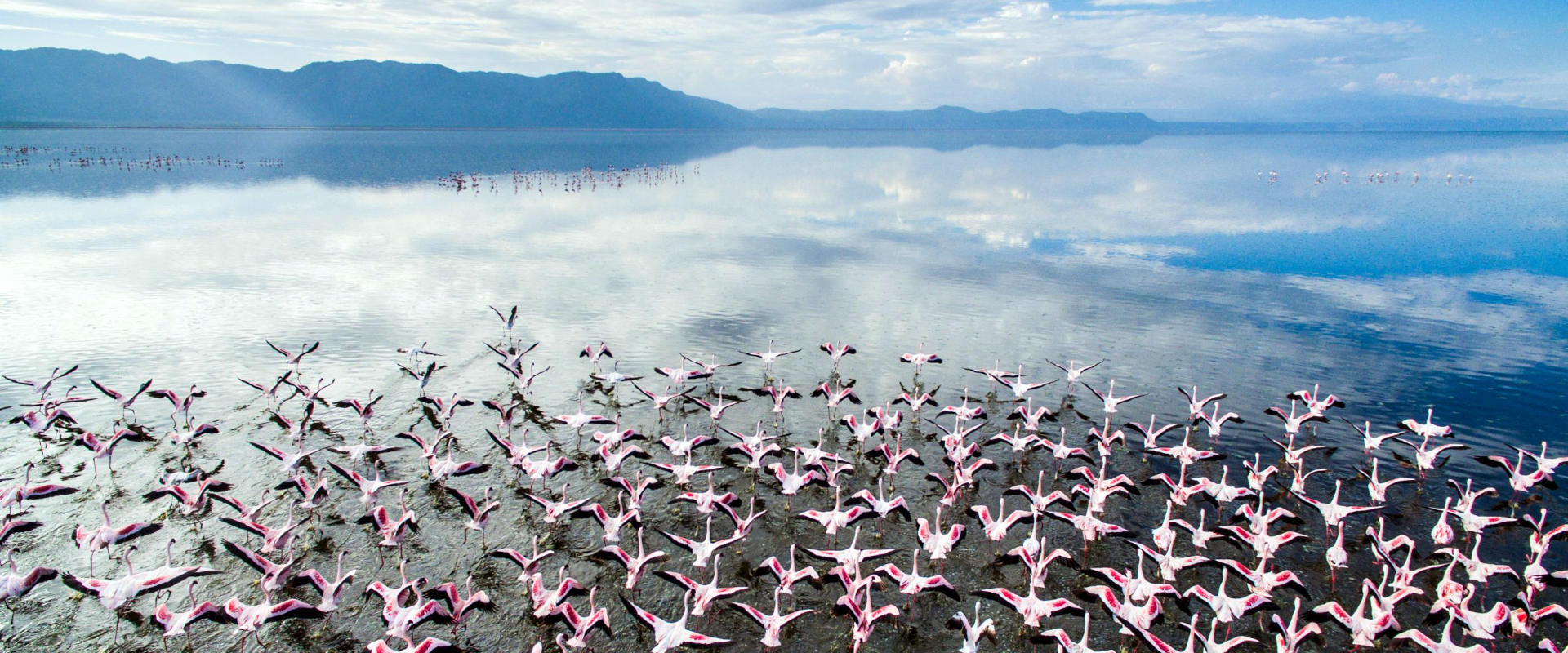 Lake Manyara Park