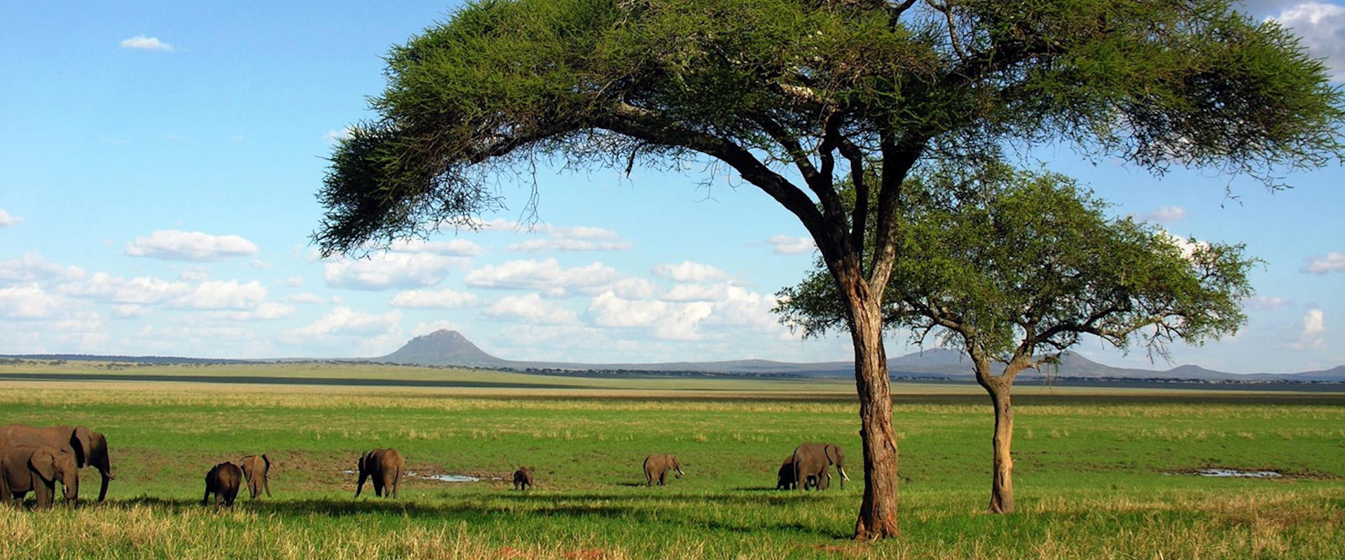 Tarangire National Park