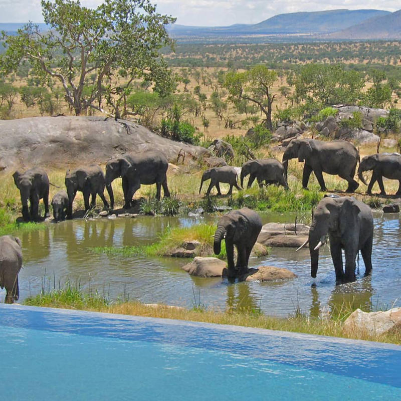 6 Days Lodge Safari