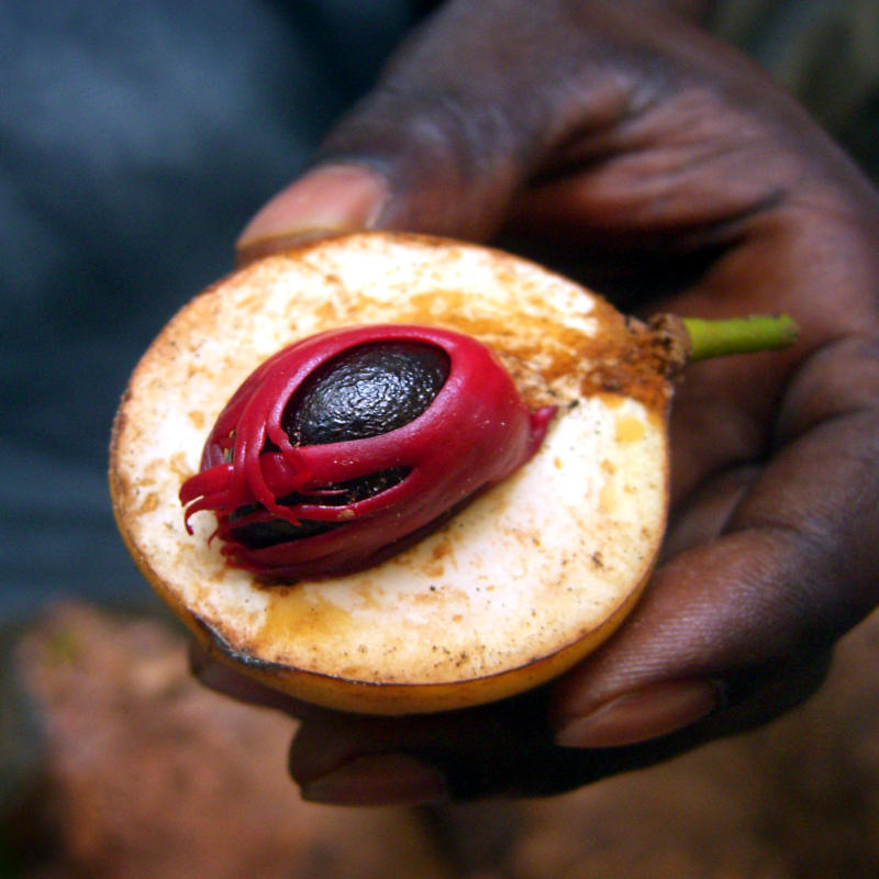 6 Days in Zanzibar Islands