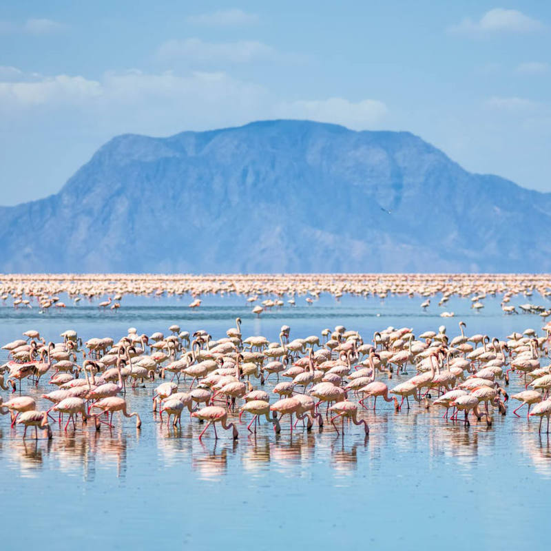 7 Days Camping Safari Lake Manyara, Ngorongoro Crater, Tarangire, Lake Natron